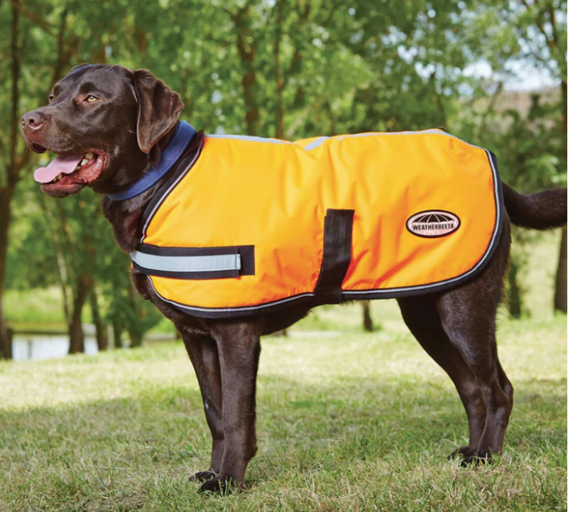 WeatherBeeta Dog Reflective Parka Orange-1